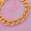 Picture of CZ Curb Chain Bracelet Gold Plated (Gajah Coco)