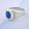 Picture of Rhodium Plated 925 Silver Ring Jewellery (Men) (RG5119)