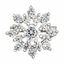 Picture of Dainty CZ Star Brooch Rhodium Plated