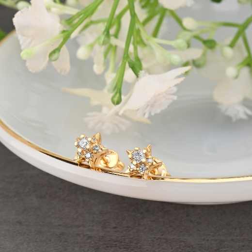 cz star earrings