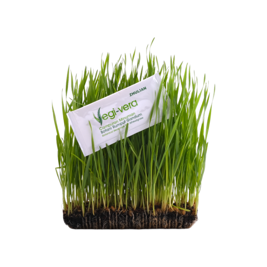 Picture of VEGI-VERA Botanical Beverage Mix Wheatgrass - 15 / 30 sachets